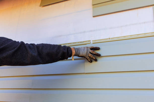 Affordable Siding Repair and Maintenance Services in Moline Acres, MO